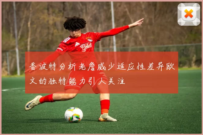 香波特分析老詹威少适应性差异欧文的独特能力引人关注